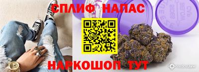 apvp Ирбит